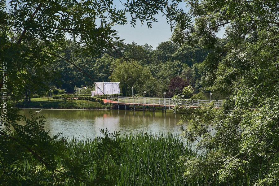 fotograf-nunta-craiova-cununie-civila-plaza-lake-adrian-georgiana-18